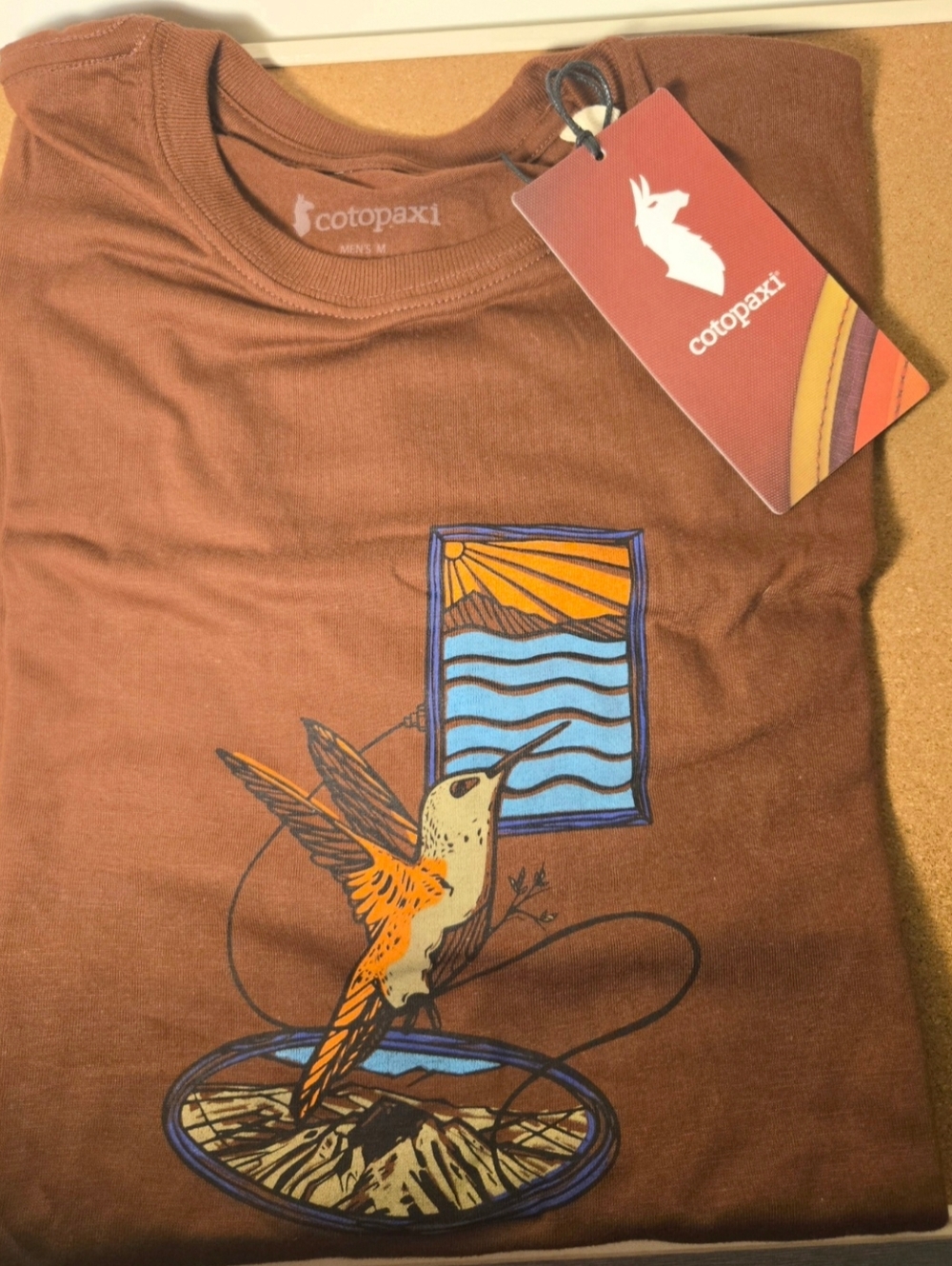 Cotopaxi Hummingbird